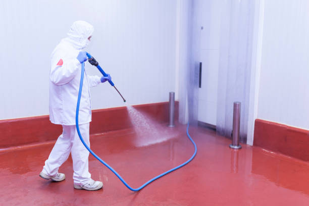Best Driveway Pressure Washing  in Fredericktown, MO
