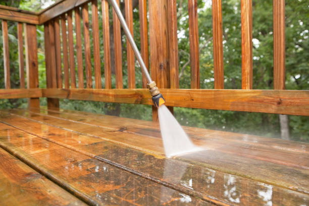 Best Dumpster Area Cleaning  in Fredericktown, MO